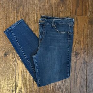 Liverpool Jeans Company Midwash Skinny Jeans in Blue